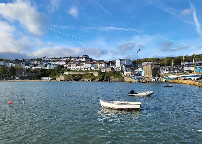 New Quay (Ceredigion) photo