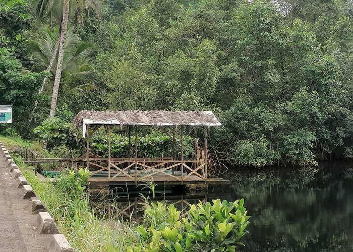 Sao Tome photo