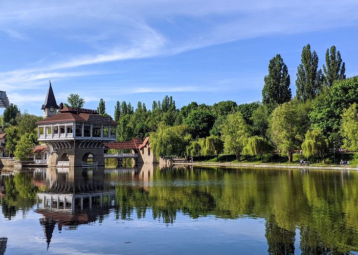 Chernivtsi photo