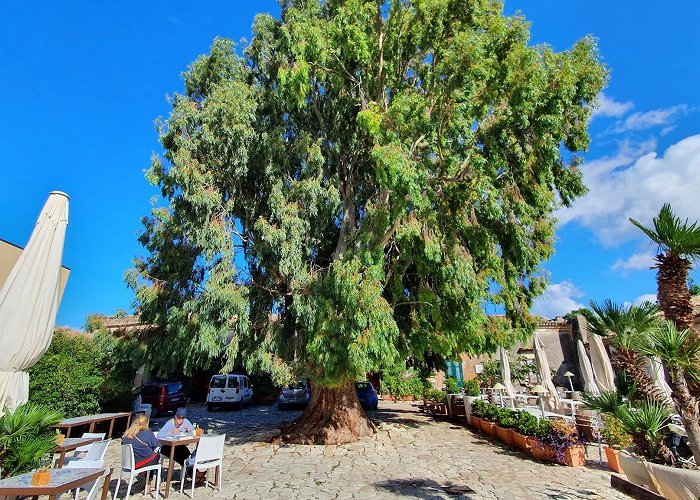 Scopello (Sicily) photo