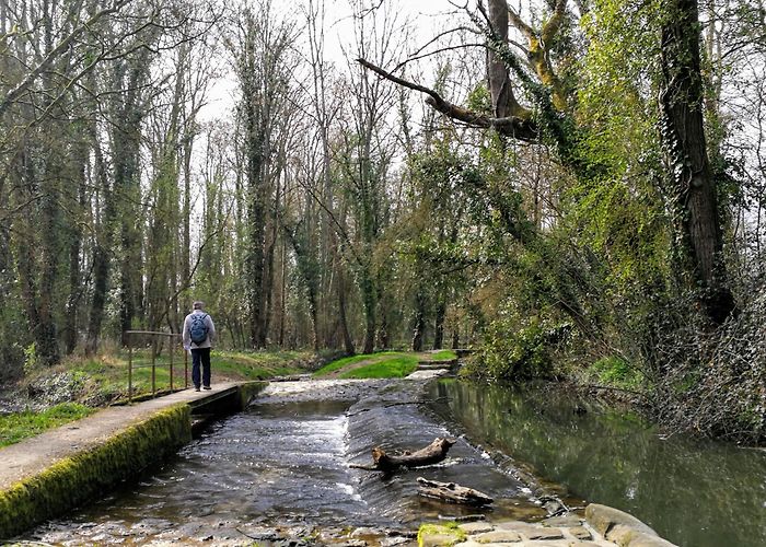 Chaumes-en-Brie photo