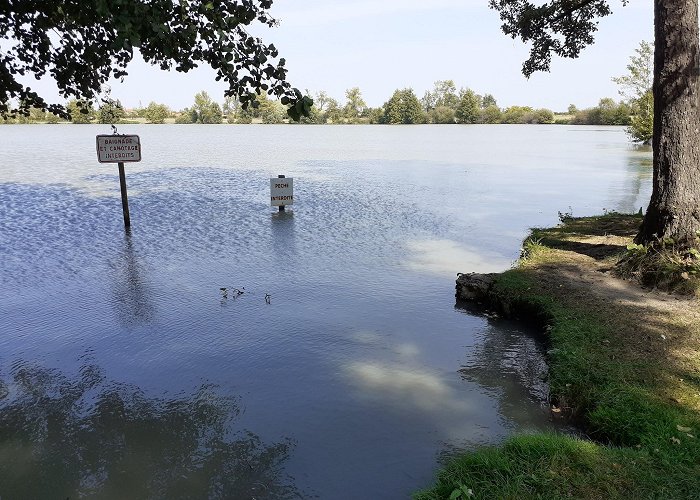 Savigneux (Loire) photo