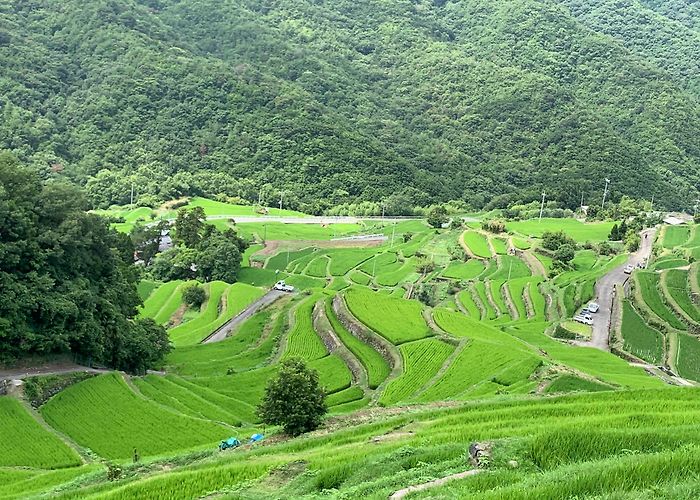 Shodoshima photo