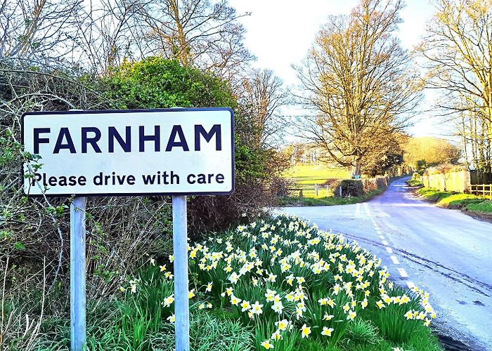 Farnham (Dorset) photo