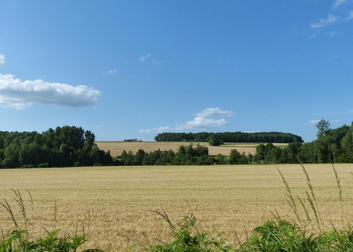 La Ferte-Gaucher photo