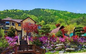 Chaeul Pension Villa Pyeongchang Exterior photo