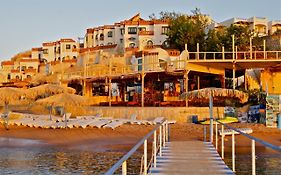 Umbi Sharks Bay Diving Village Sharm el-Sheikh Exterior photo