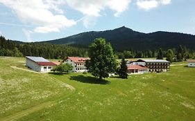 Osserhotel Garni Lohberg Exterior photo