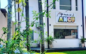 Posada Del Angu Hotel Puerto Iguazu Exterior photo