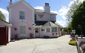 Blenheim House Bed & Breakfast Torquay Exterior photo