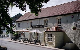 The Golden Lion, Newport, Pembrokeshire Hotel Newport  Exterior photo