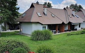 Kraljevi Konaci Olja Apartment Zlatibor Exterior photo