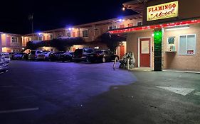 Flamingo Motel Oxnard Exterior photo