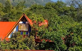 Hospedaje Rural Tupinamba Bed & Breakfast Ibague Exterior photo