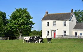 Glascoed Farmhouse Bed & Breakfast Carmarthen Exterior photo