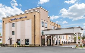 Comfort Inn & Suites Schenectady - Scotia Exterior photo