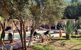 Les Trois Paons Bed & Breakfast Taroudant Exterior photo