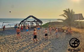 The Driftwood Surfer Beachfront Hostel / Restaurant / Bar, El Paredon El Paredon Buena Vista Exterior photo