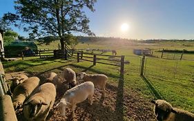 Clandulla Cottages & Farmstay Boyland Exterior photo