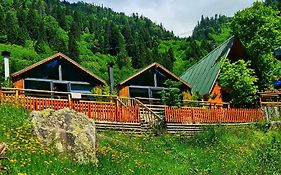 Yayla Bungalov Villa Ayder Yaylasi Exterior photo