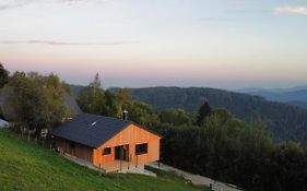 Haus Am Hochwechsel Villa Breitenbrunn  Exterior photo