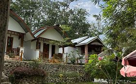 Asim Paris Guesthouse & Jungle Trekking Bukit Lawang Exterior photo