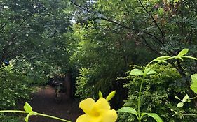 Forest Villa Nature Resort Anuradhapura Exterior photo