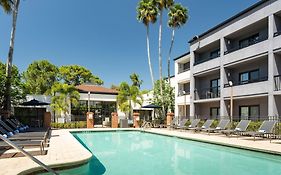 Courtyard St. Petersburg Clearwater Hotel Exterior photo