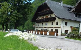 Gasthof Steinbraeu Hotel Faistenau Exterior photo