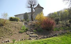 Chateau De La Moissetie Bed & Breakfast Aurillac Exterior photo