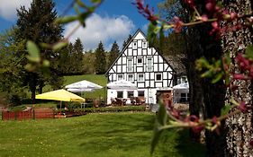 Forellenhof Wald- Und Wiesenquartier Hotel Bad Berleburg Exterior photo