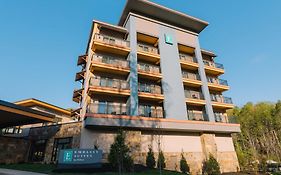 Embassy Suites By Hilton Gatlinburg Resort Exterior photo