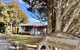 Beech Cottage - Lake Tekapo Exterior photo