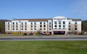 Springhill Suites By Marriott Lynchburg Airport/University Area Exterior photo