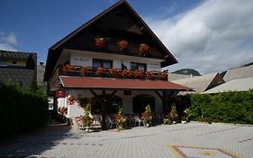 Penzion Vila Bistrica Bed & Breakfast Bohinjska Bistrica Exterior photo