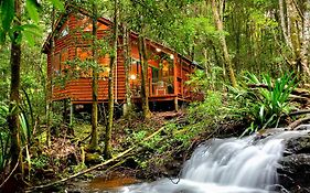 The Mouses House Rainforest Retreat Villa Springbrook Exterior photo