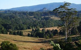 Grey Gum Lodge Nimbin Exterior photo