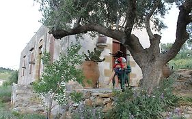 Tsikalaria Traditional Stone House Villa Exterior photo