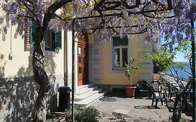 Villa Tergeste Trieste Exterior photo