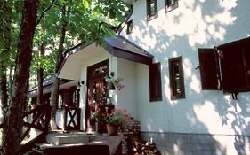 Earl Grey Hotel Hakuba Exterior photo