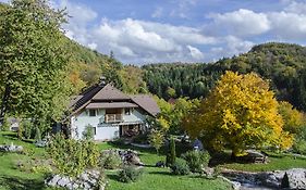 Miskar Rooms Cerknica Exterior photo