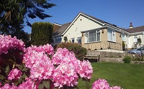 Churston Way Lodge Guest House Brixham Exterior photo