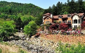 Mir Pension Villa Gapyeong Exterior photo