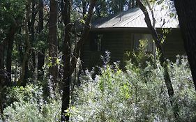 Twin Falls Bush Cottages Fitzroy Falls Exterior photo