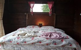 Olimbera Koy Evi Bed & Breakfast Artvin Exterior photo