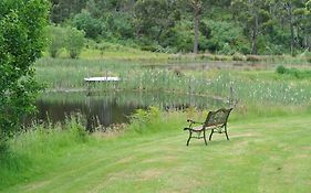 Hamlet Downs Country Accommodation Fentonbury Exterior photo