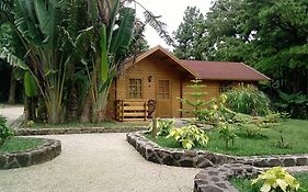 Le Domaine De L Arbre Du Voyageur Hotel Curepipe Exterior photo