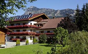 Apart & Pension Wassermann Inklusive Sommerbergbahnticket Hotel Tannheim Exterior photo