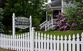 Silver Fern Bed And Breakfast Peninsula Exterior photo