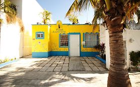 Maya Vacanze Playa Aventura Bed & Breakfast Playa del Carmen Exterior photo